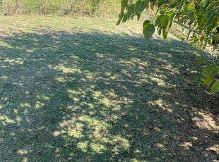 Bush Trimming by James Abernathy for Will M. in Cincinnati, OH
