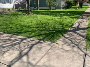 Elaine F.'s Grass Cutting service result