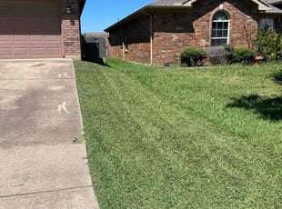 Eva B.'s Lawn Care service result