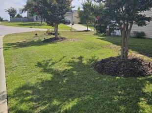 Lynn C.'s Grass Cutting service result