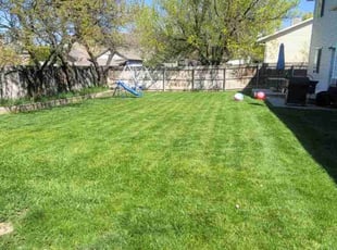 Melissa H.'s Lawn Care service result