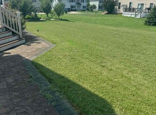 Alex S.'s Grass Cutting service result