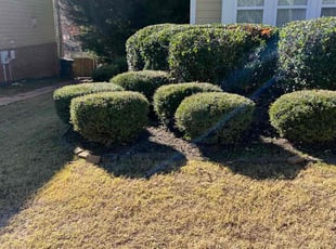 Bush Trimming by Latonya Talley for Wyman M. in Douglasville, GA