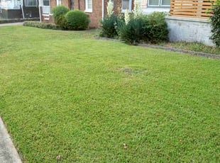 Denise A.'s Lawn Mowing Service service result