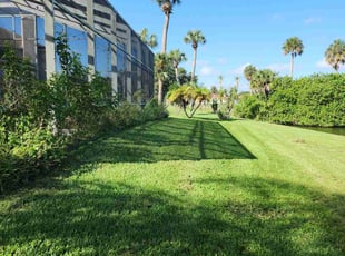 Lorie R.'s Lawn Mowing service result