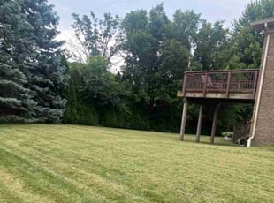 Angela K.'s Lawn Care service result