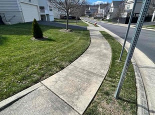 Reginald A.'s Lawn Care service result