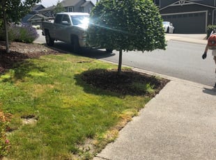 Bush Trimming by Jose Duarte for David S. in Lake Stevens, WA