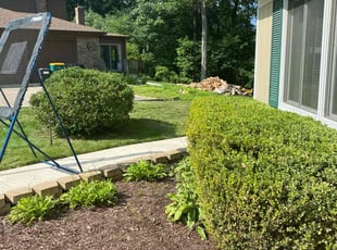 Bush Trimming by Gregory Williams for Kim S. in Farmington Hills, MI