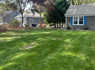 Kay B.'s Yard Cutting service result