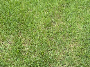 David E.'s Cleanups service result