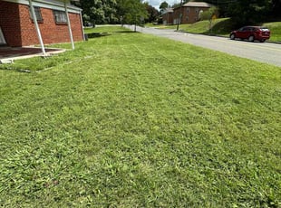 Aiesha S.'s Lawn Mowing service result
