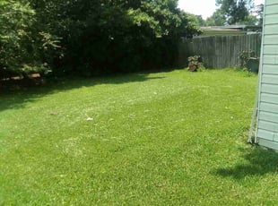 LaShundra R.'s Lawn Mowing service result