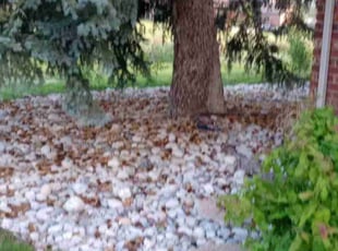 Cleanups by Jacques Chauvin for Melisa K. in Centennial, CO