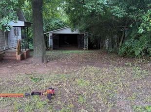 Barbara E.'s Leaf Removal service result