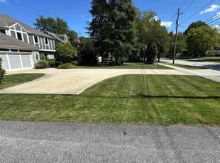Marina V.'s Lawn Mowing service result