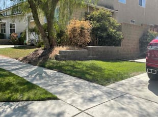 Brenda C.'s Lawn Maintenance service result