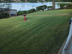 Erin B.'s Lawn Care service result