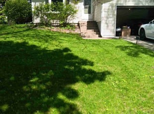 Jill G.'s Lawn Care service result