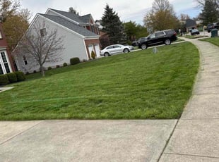 Melissa G.'s Lawn Care service result