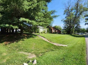 Lily R.'s Yard Cutting service result
