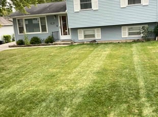 Deborah B.'s Lawn Care service result