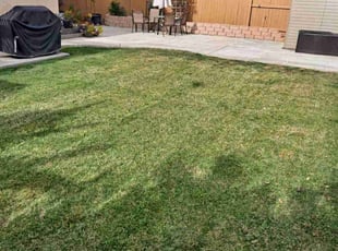 Jackie M.'s Lawn Service service result