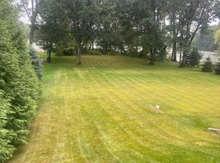 Edward M.'s Lawn Care service result