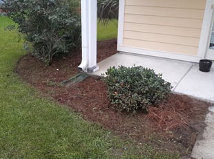 Weeding by William Sellers for Marinae P. in Wando, SC