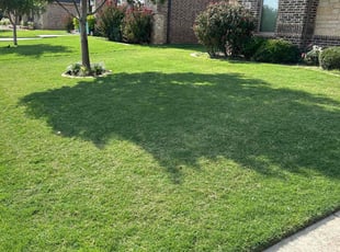 Wristen r.'s Lawn Mowing service result