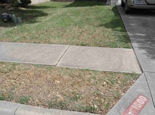 Leaf Removal by Alba Chacon Galdamez for James C. in Round Rock, TX