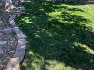 James C.'s Yard Cutting service result