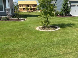 Chris S.'s Lawn Maintenance service result
