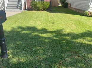 Yvonne C.'s Lawn Maintenance service result