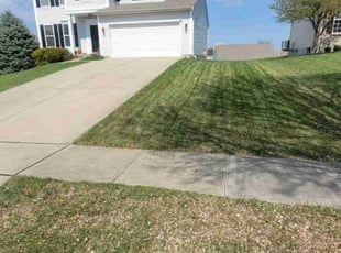 Vijay G.'s Lawn Care service result