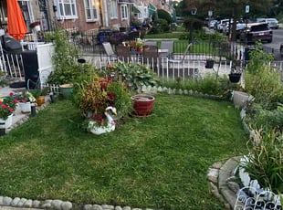 Carla S.'s Lawn Mowing service result