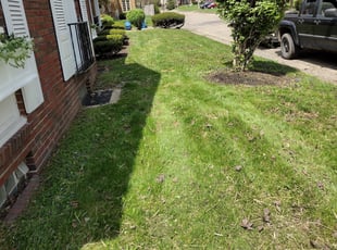 Leaf Removal by David Shelton for Deborah D. in Indianapolis, IN
