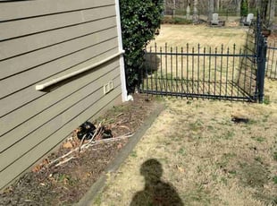 Bush Trimming by Lacie Moore for Jason S. in Dacula, GA
