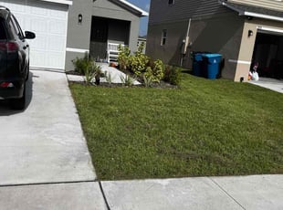 Helen H.'s Yard Cutting service result
