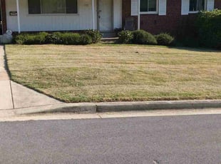 James G.'s Lawn Mowing Service service result