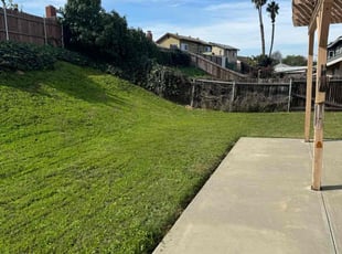Janice C.'s Lawn Mowing service result
