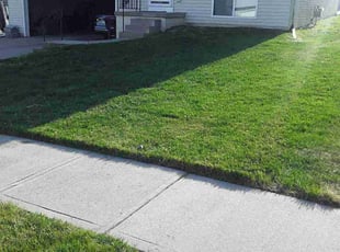 Timothy J.'s Lawn Mowing service result
