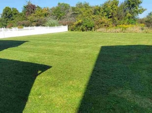 Nancy W.'s Lawn Service service result