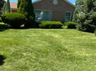Vanese R.'s Grass Cutting service result