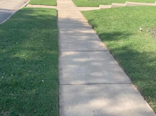 Alicia K.'s Lawn Mowing service result