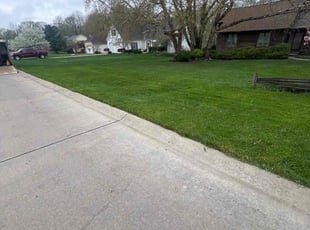 Megan M.'s Grass Cutting service result