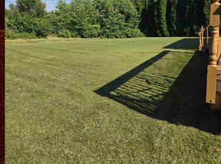 Syedzainul H.'s Lawn Mowing Service service result