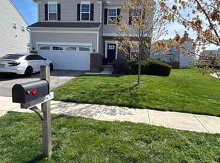 Ronald L.'s Lawn Mowing service result