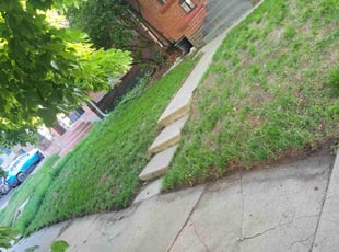 Leaf Removal by Marvin Beck for Mackenna J. in Denver, CO