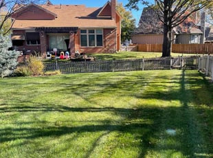 Graham L.'s Lawn Mowing Service service result